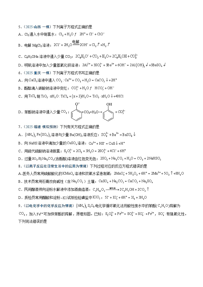 备战2025年高考化学抢押秘籍（新高考专用）猜押04离子方程式的正误判断（学生版）第3页