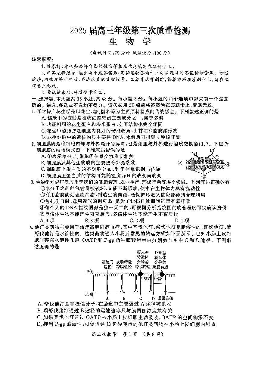生物试卷                  【河南卷】河南省开封市2025届高三年级下学期第三次质量检测（开封三模）（4.27-4.28）第1页