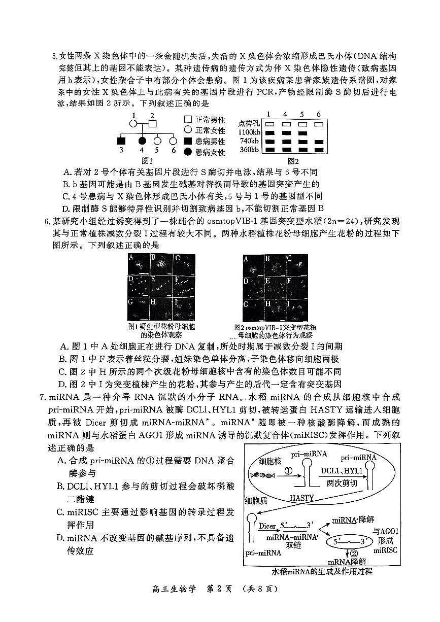 生物试卷                  【河南卷】河南省开封市2025届高三年级下学期第三次质量检测（开封三模）（4.27-4.28）第2页