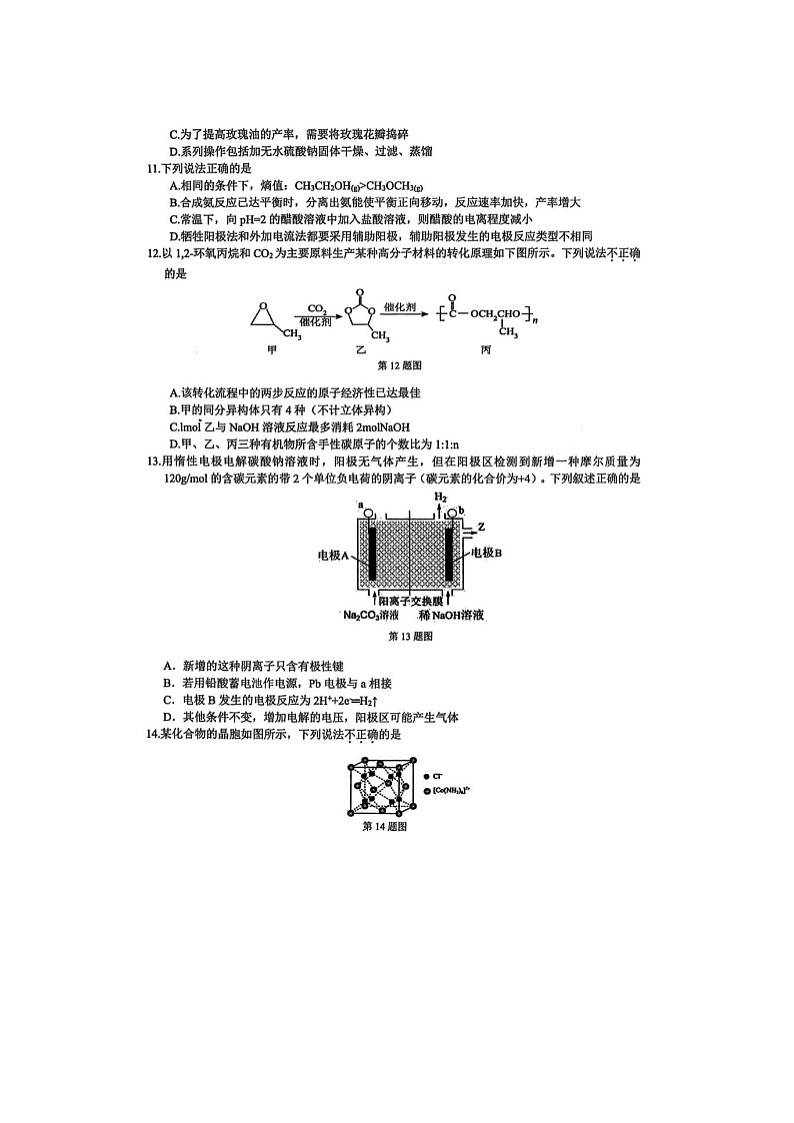 浙江省北斗星盟2025届高三下学期适应性考试（三模）化学试卷含答案第3页
