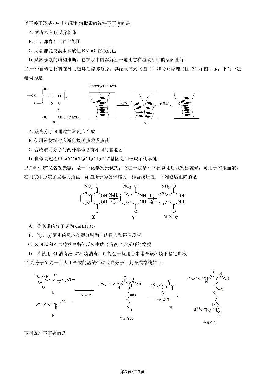 2025北京二十中高二（下）期中真题化学试卷第3页