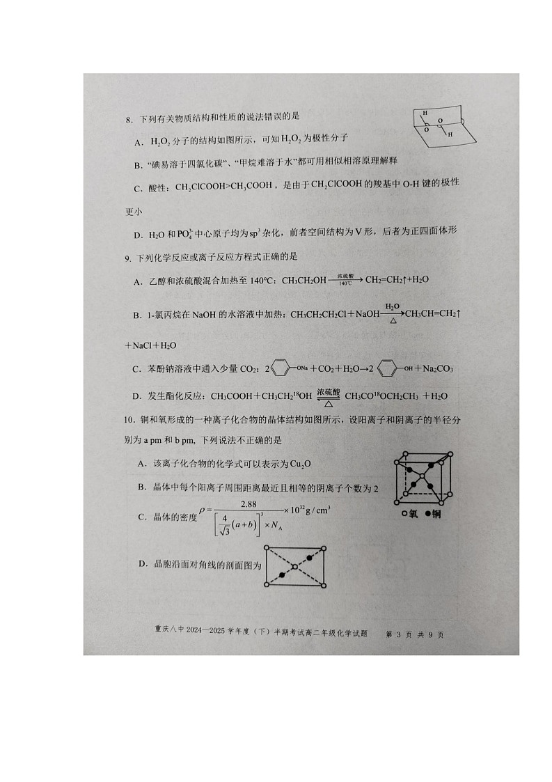 重庆市第八中学校2024-2025学年高二下学期期中考试化学试题第3页