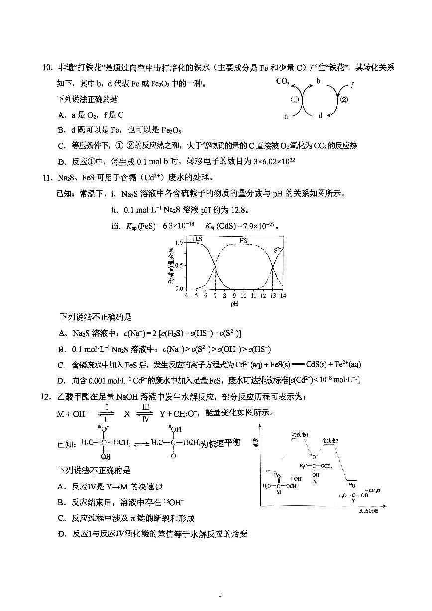 2025北京人大附中朝阳学校高三（下）统练十四化学测试卷第3页