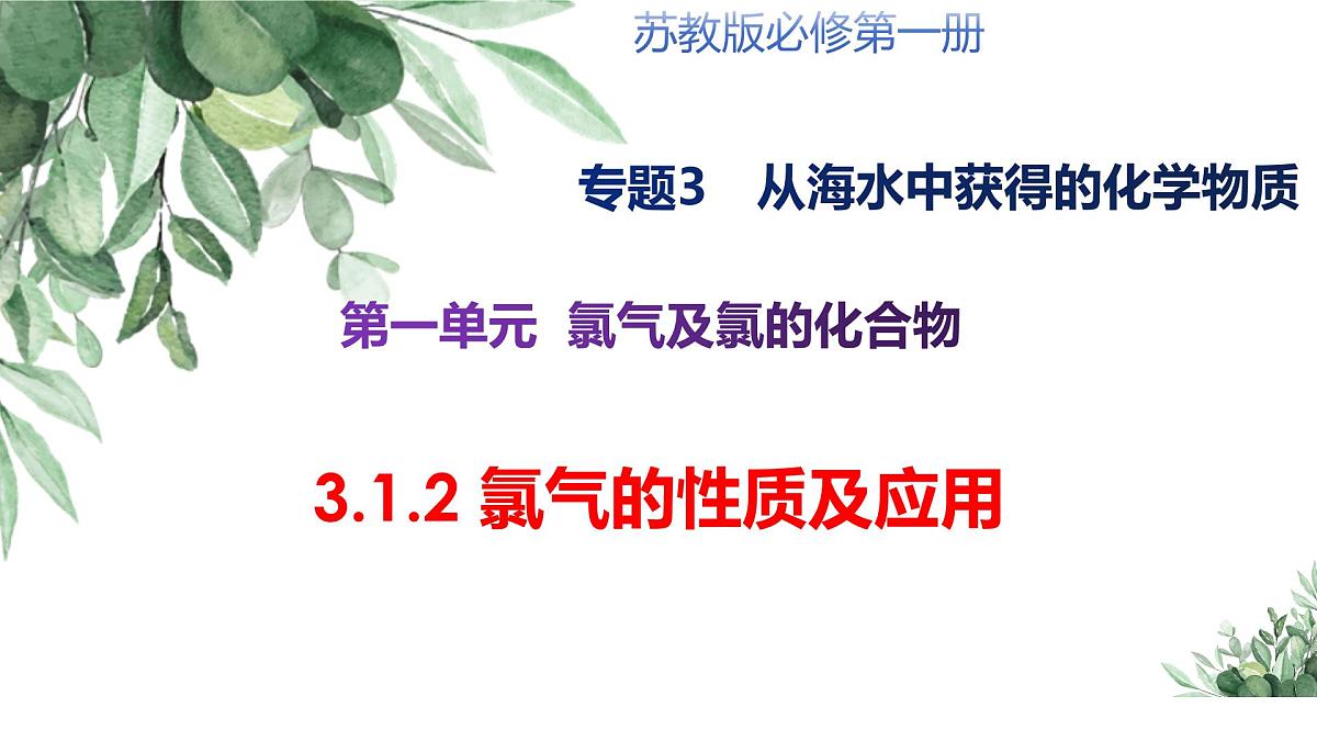 3.1.2氯气的性质及应用  课件 2024-2025学年苏教版高中化学必修第一册第1页