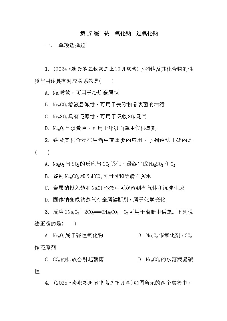 第17练　钠　氧化钠　过氧化钠 课时作业（含答案）2026届高三化学一轮总复习第1页