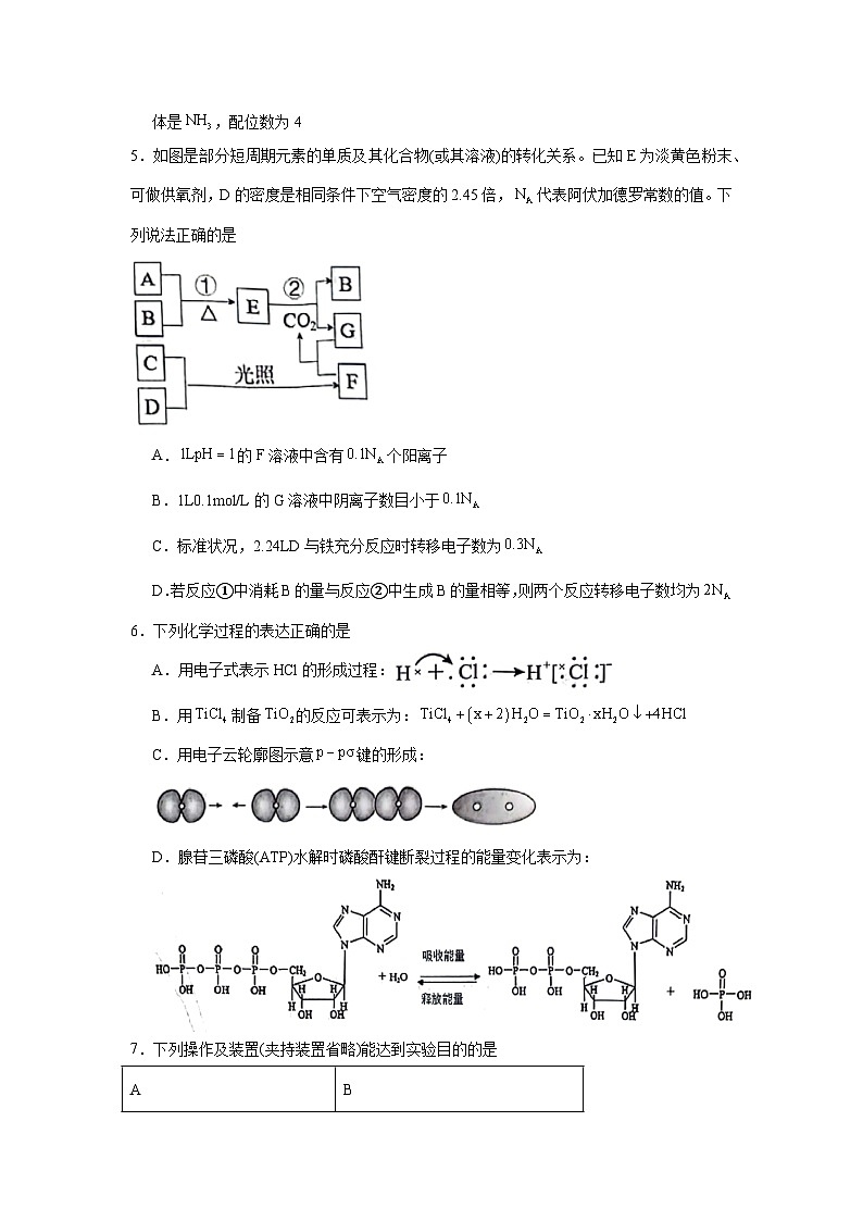 黑龙江省齐齐哈尔市2025届高三下学期三模化学试题（无答案）第2页