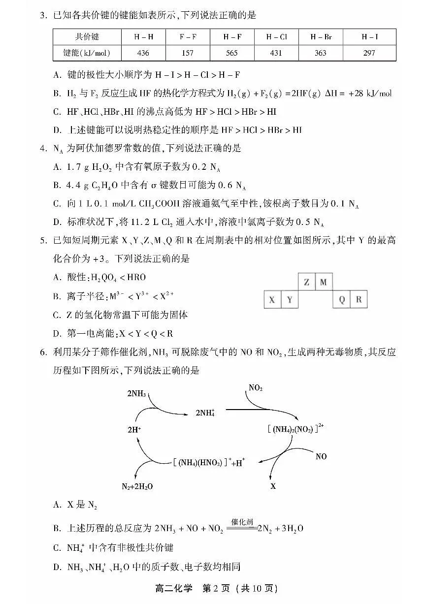 2025北京十二中高二（下）期中真题化学试卷第2页