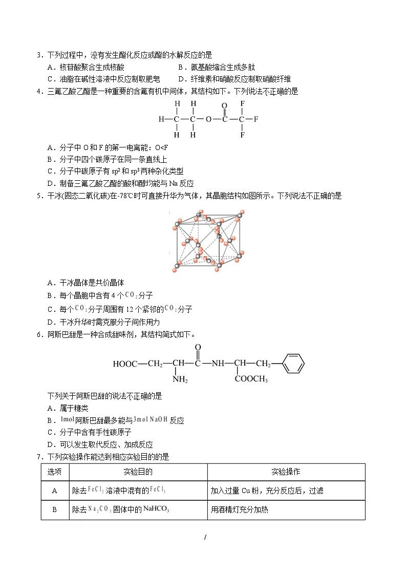 高二化学月考卷（考试版A4）【测试范围：选择性必修2 选择性必修3】（人教版2019）第2页