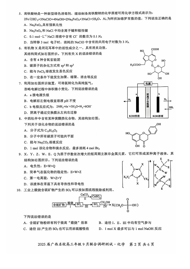 2025届广西贵百河联盟高三9月调研联考-化学试题（含答案）第2页