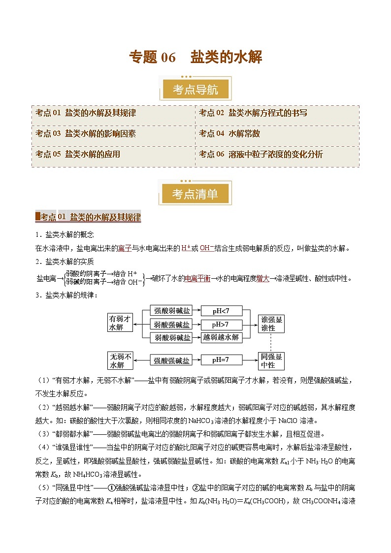 专题06 盐类的水解（考点清单）（讲+练）（解析版）第1页