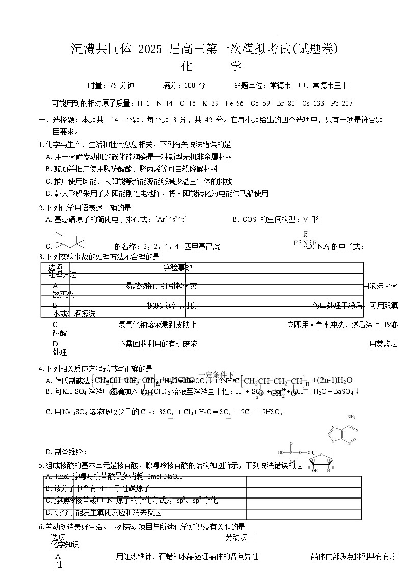 湖南省沅澧共同体2024-2025学年高三下学期第一次模拟考试化学试题 含答案第1页