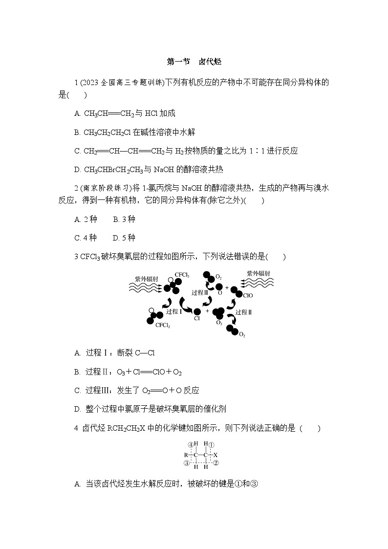 3.1 卤代烃   练习 含答案2024-2025学年高二化学人教版（2019）选择性必修3第1页