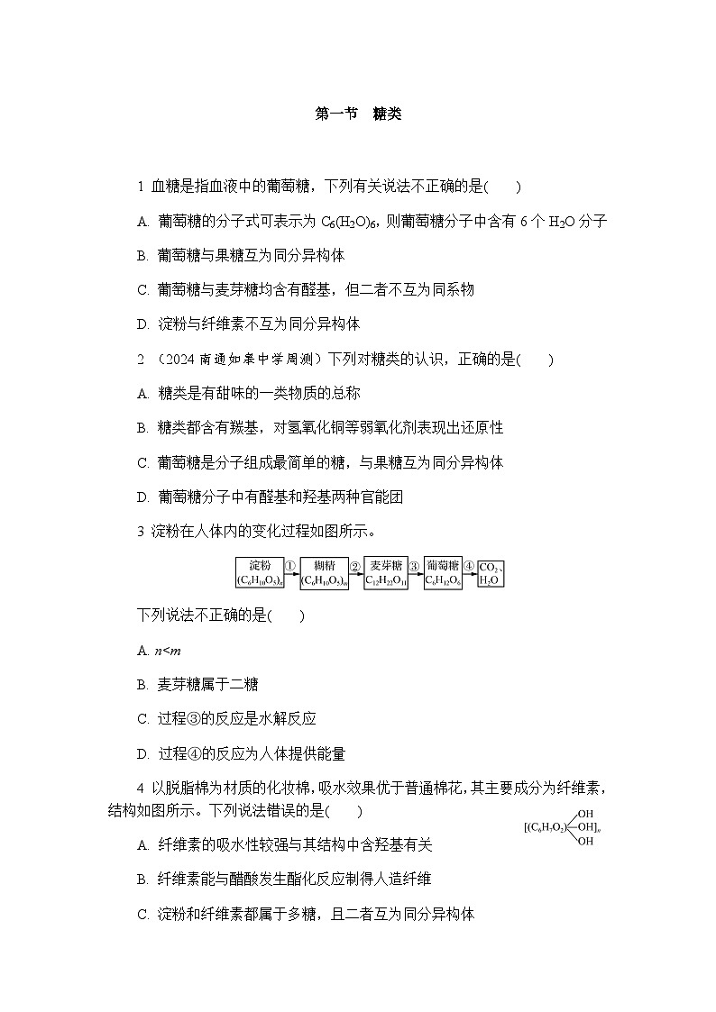 4.1 糖类   练习 含答案2024-2025学年高二化学人教版（2019）选择性必修3第1页