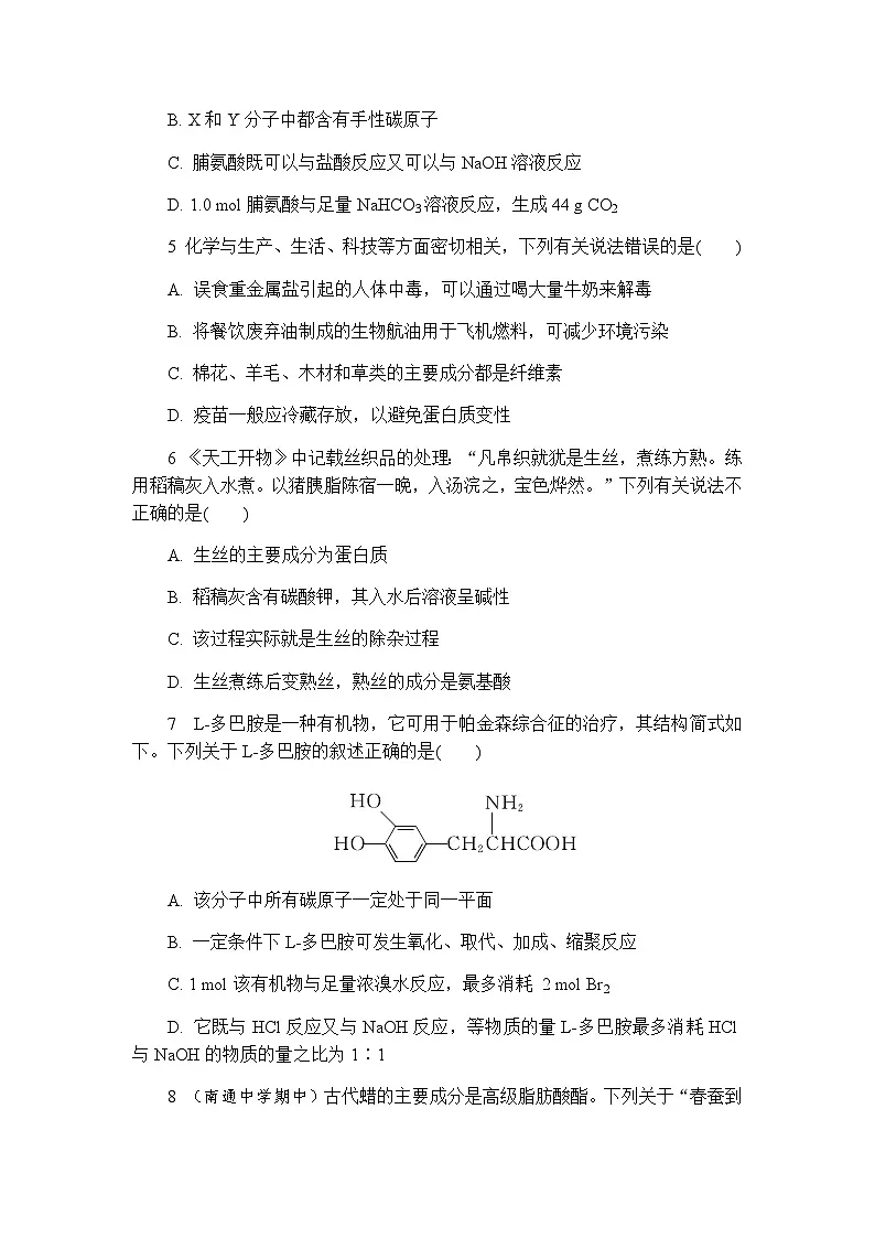 4.2 蛋白质 练习 含答案2024-2025学年高二化学人教版（2019）选择性必修3第2页