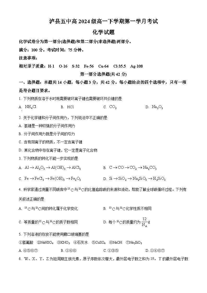 四川省泸州市泸县第五中学2024-2025学年高一下学期3月月考 化学试题（原卷版+解析版）第1页
