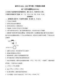 浙江省杭州市西湖区杭州师范大学附属中学2024-2025学年高二上学期期末考试化学试题（原卷版+解析版）