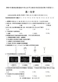 2025年湖南省普通高中学业水平合格性考试模拟考试化学试题 含答案