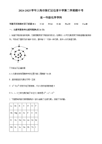 上海市位育中学2024-2025学年高一下学期期中化学试卷含答案