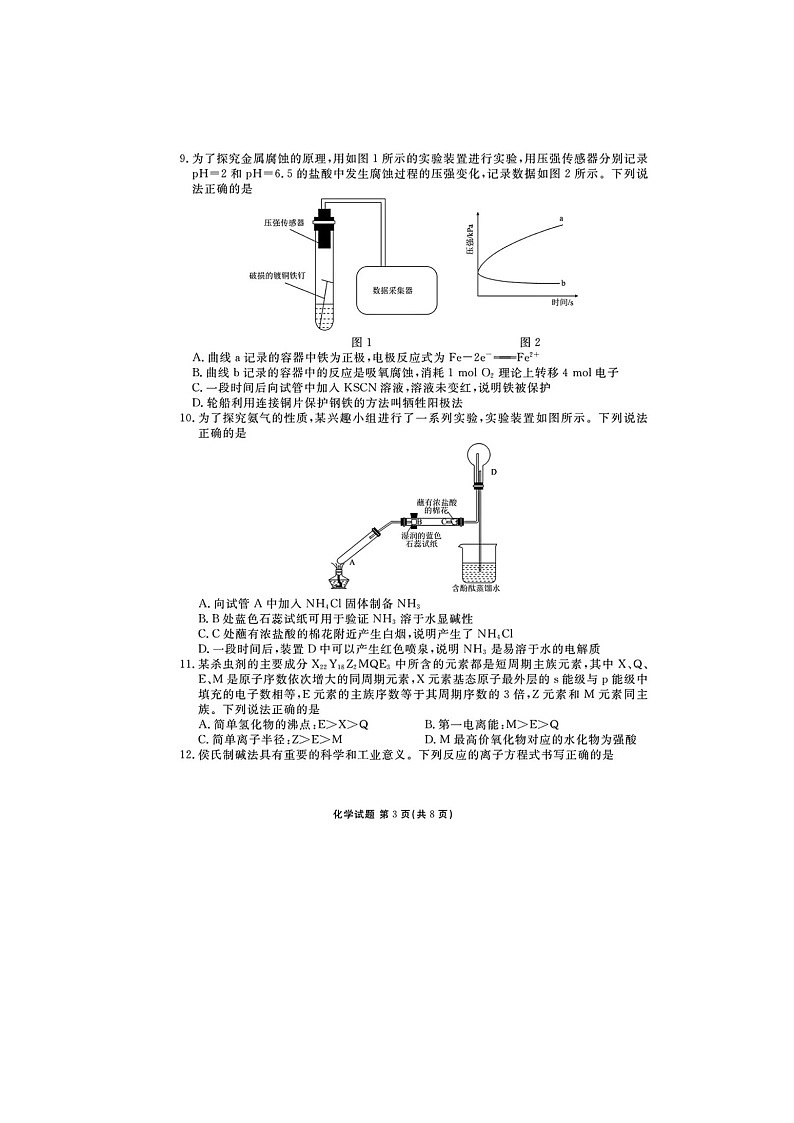 广东省2025届高三5月衡水金考卷联考化学试卷含答案第3页