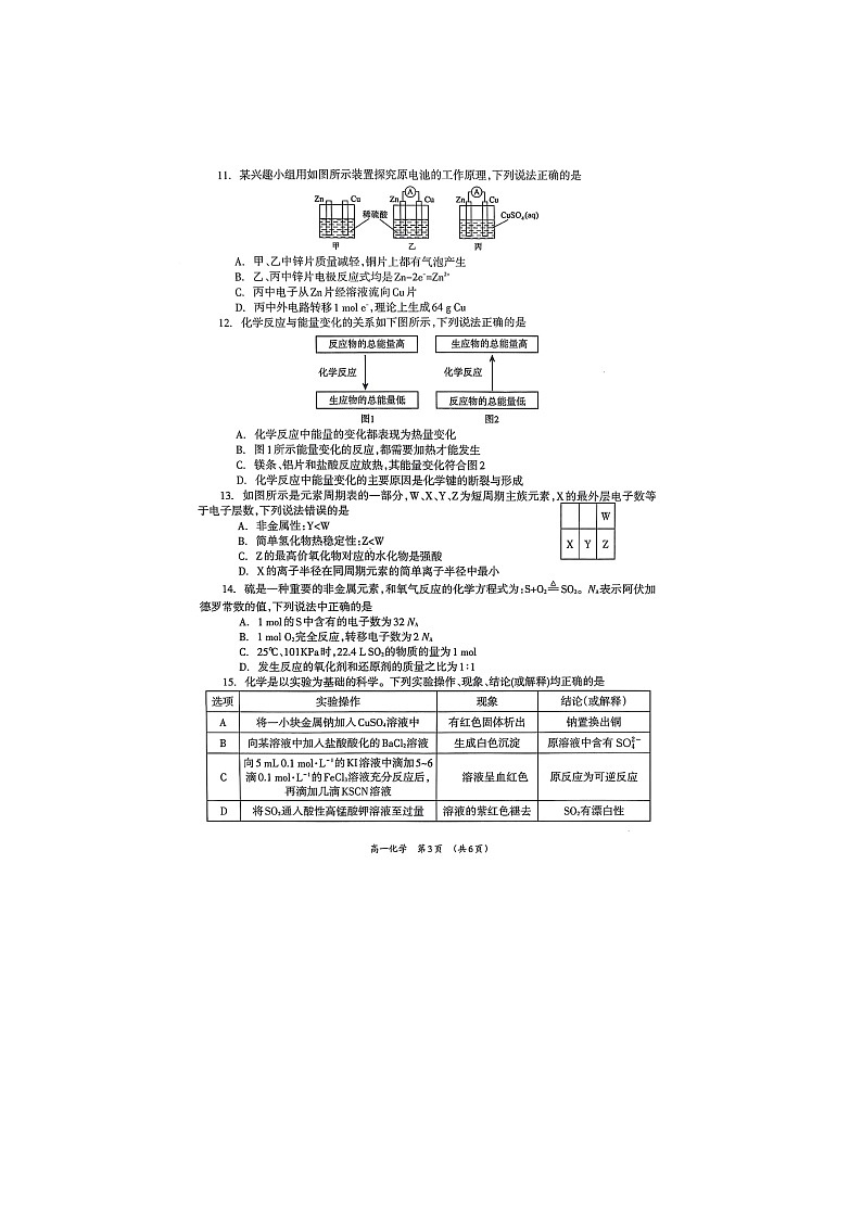广西柳州市2024-2025学年高一下学期4月联考（图片版）化学试题第3页