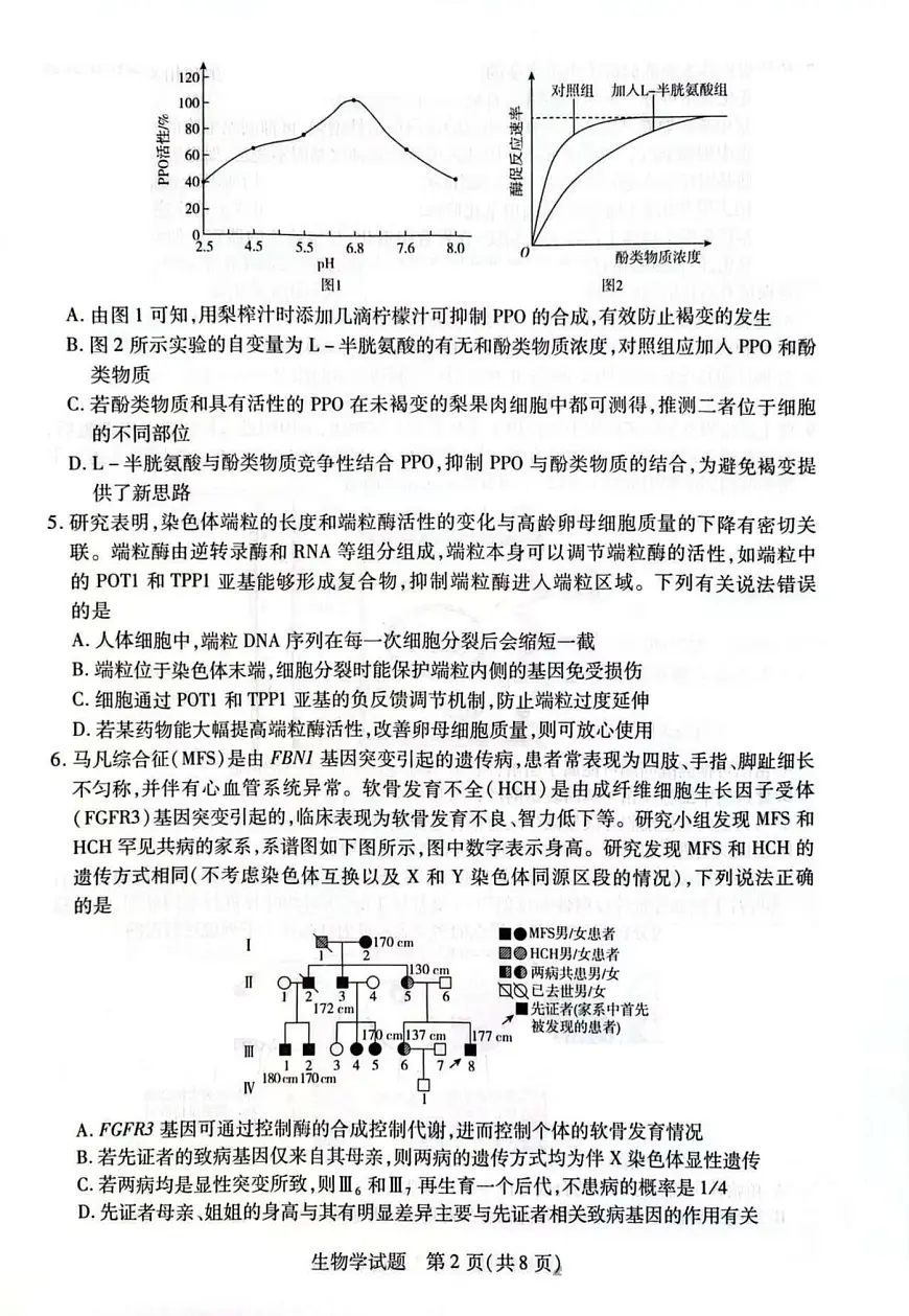 部分学校25届高三生物最后一卷第2页