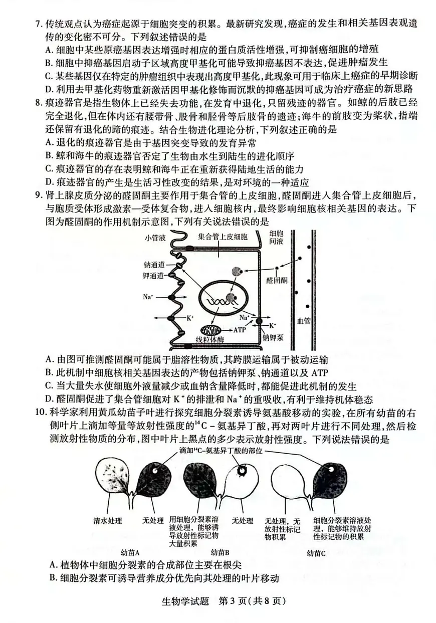 部分学校25届高三生物最后一卷第3页
