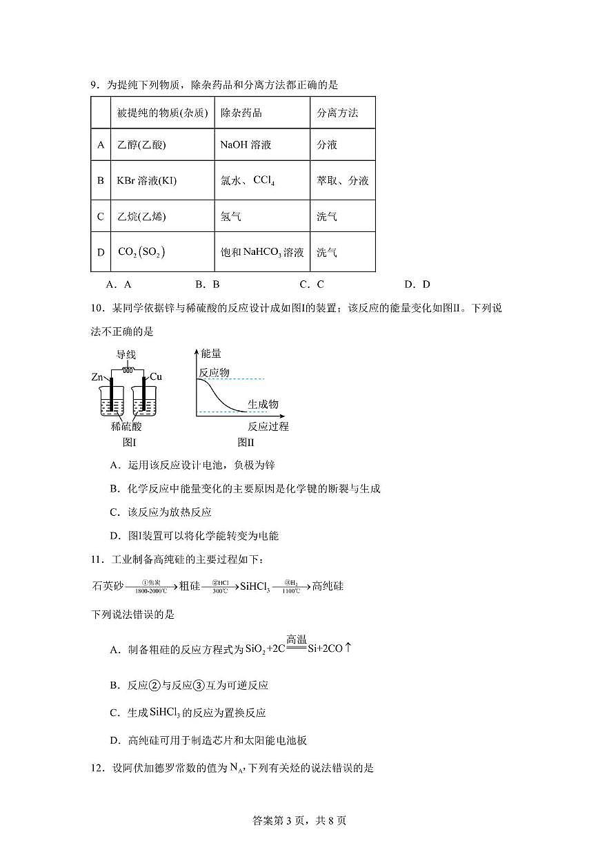 新蔡一高2024-2025学期5月月考 试题第3页