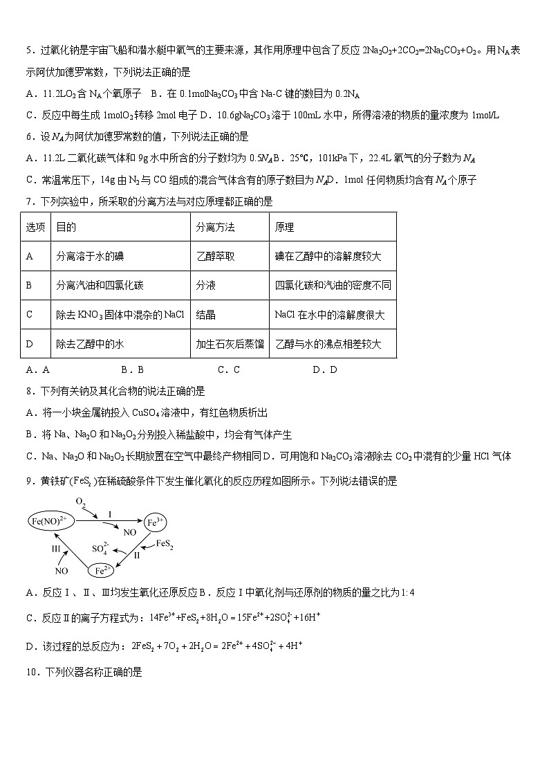 广西钦州市第四中学2024-2025学年高一上学期期中考试+化学试题第2页
