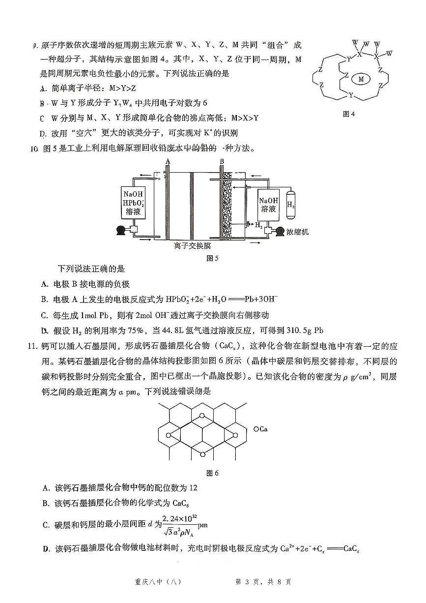 重庆市第八中学2025届高三5月适应性月考卷（八）化学第3页