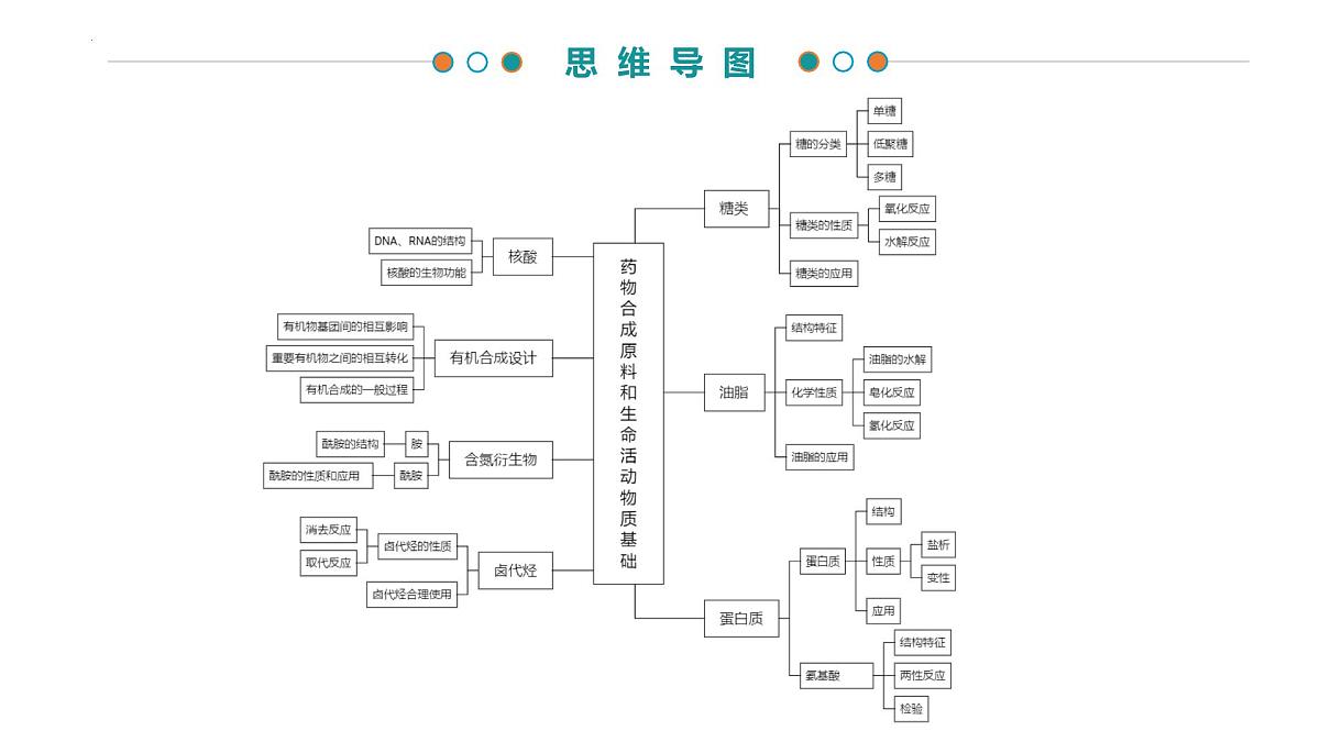 专题4 药物合成原料和生命活动物质基础（考点串讲）-2024-2025学年高二化学下学期期末考点整理课件（苏教版2019）第3页