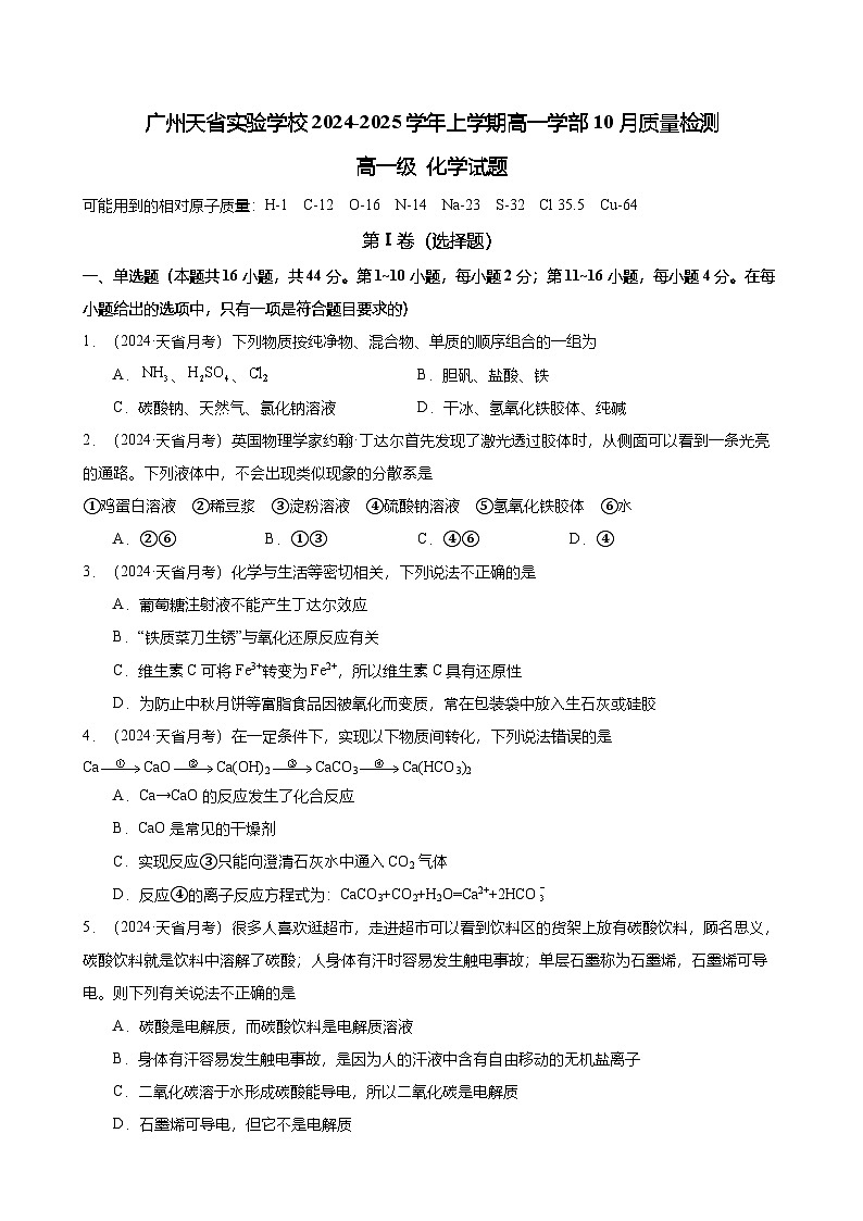 2024-2025广州市天河区天省实验学校高一上学期10月月考化学试卷（题目版）第1页
