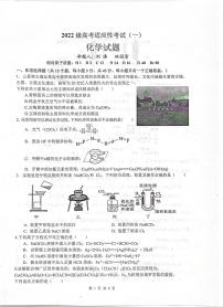 四川省绵阳中学2025届高三下学期高考适应性考试（一）化学试题（高考模拟）