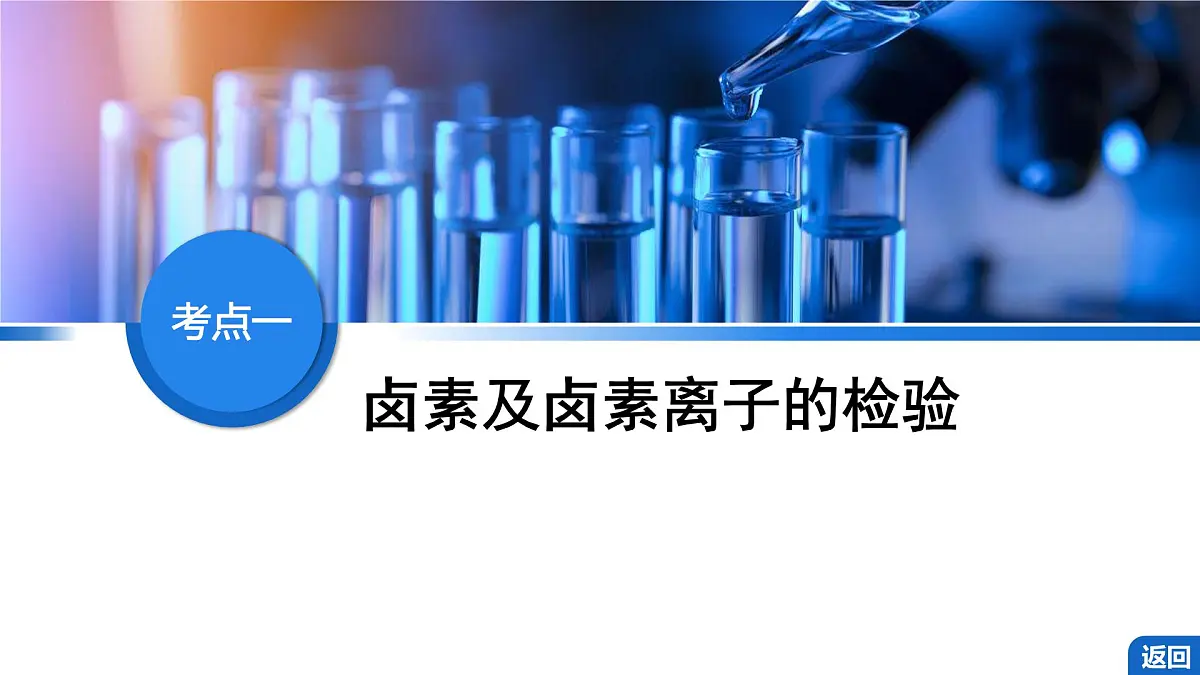2026年高考化学一轮复习PPT课件 第16讲 卤族元素 溴、碘单质的提取第4页