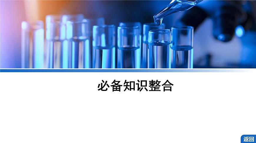 2026年高考化学一轮复习PPT课件 第49讲　溶液中“粒子”浓度关系第4页