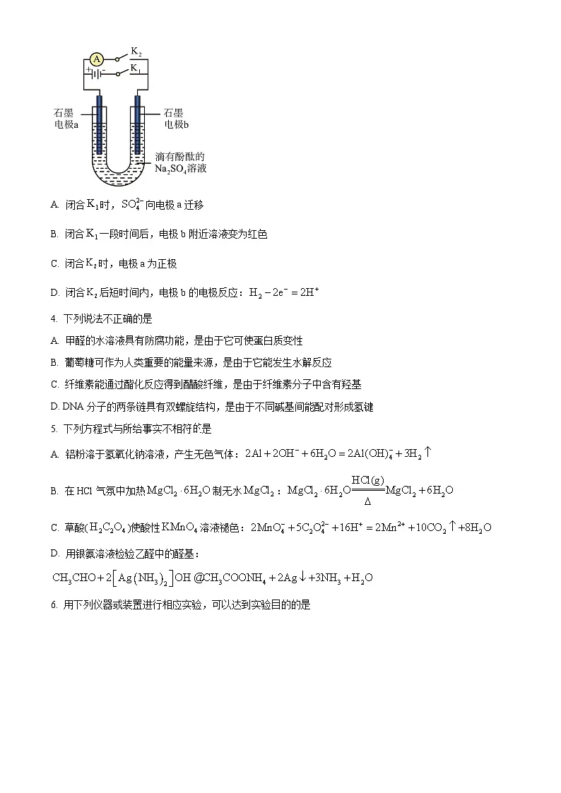 北京市十一学校2025届高三下学期三模化学试题（原卷版）第2页