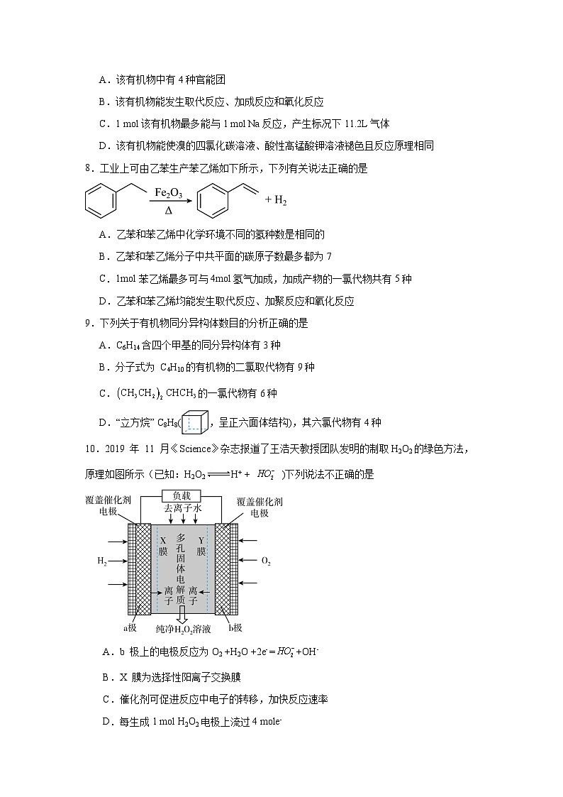 月考2试卷第3页