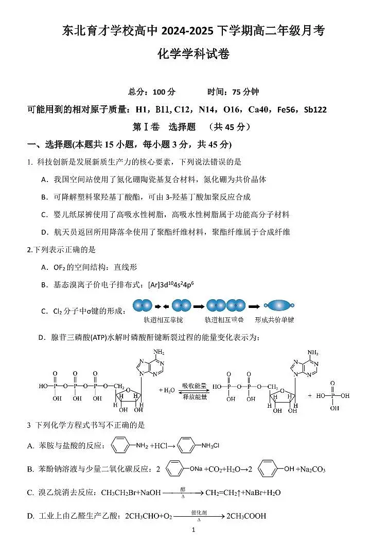 辽宁省沈阳市东北育才学校2024-2025学年高二下学期第二次月考化学试题（PDF版、含答案）第1页