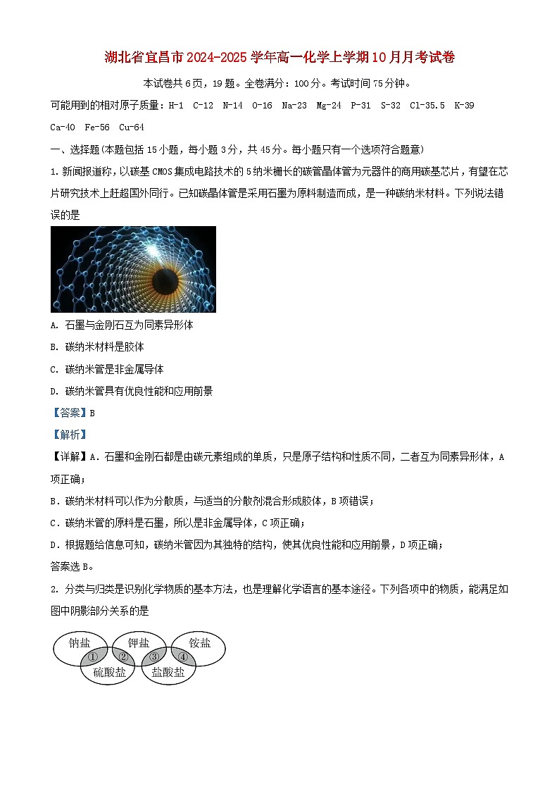 湖北省宜昌市2024_2025学年高一化学上学期10月月考试卷含解析第1页