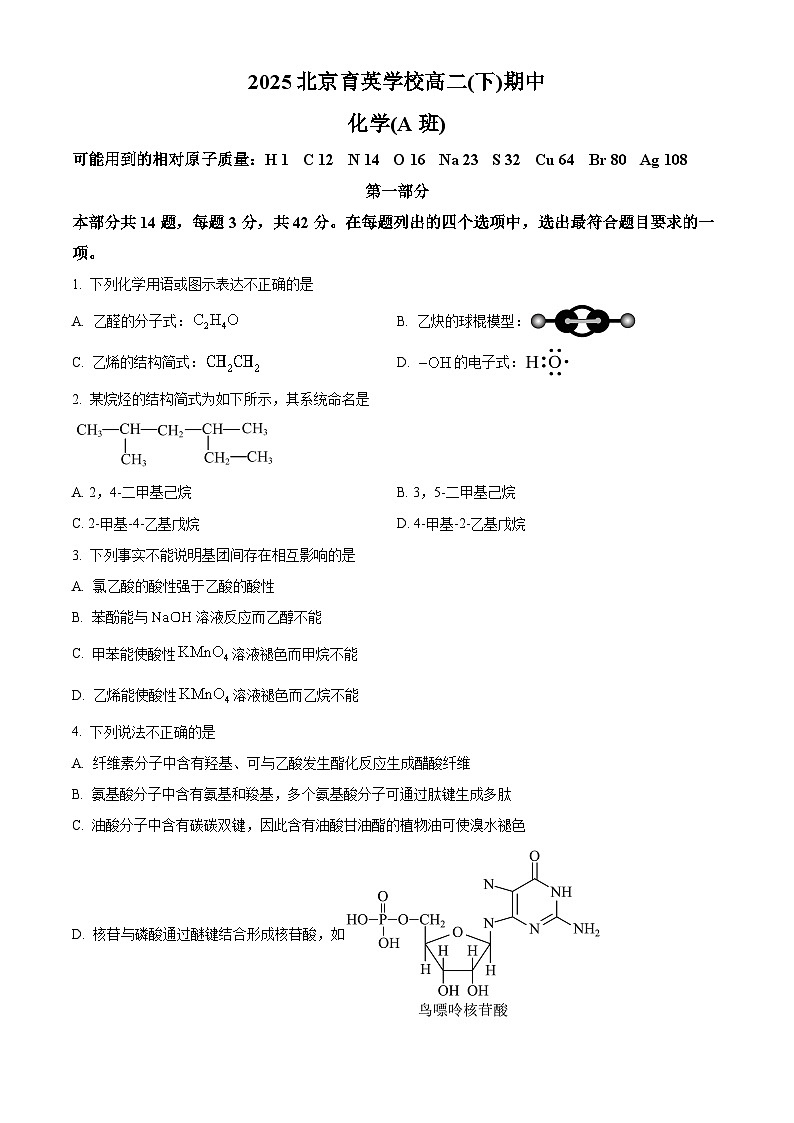 北京市育英中学2024-2025学年高二下学期期中练习 化学试卷第1页