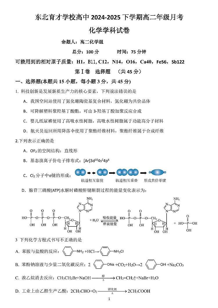 辽宁省沈阳市东北育才学校2024-2025学年高二下学期第二次月考化学试卷第1页