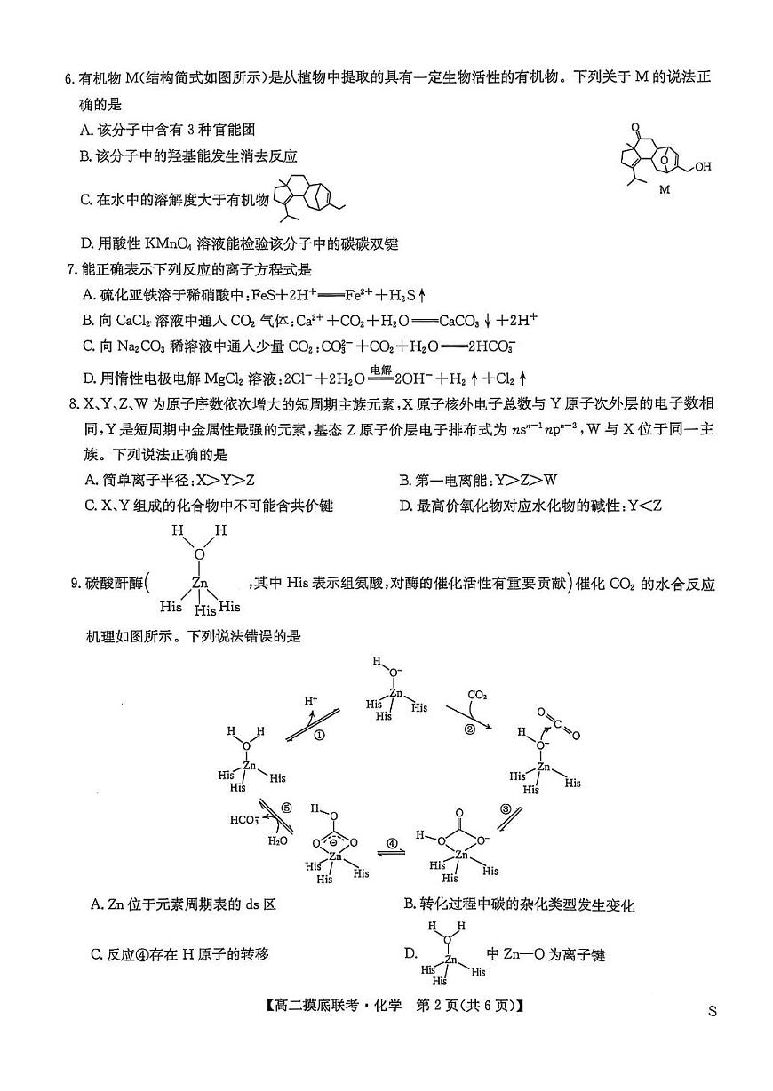 九师联盟2024-2025学年高二下学期6月摸底联考化学试题（图片版，无答案）第2页