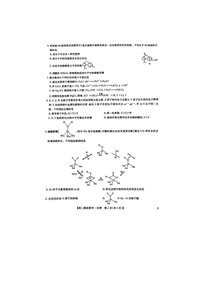 河南省九师联盟2024-2025学年下期高二6月摸底联考化学试卷含答案第2页