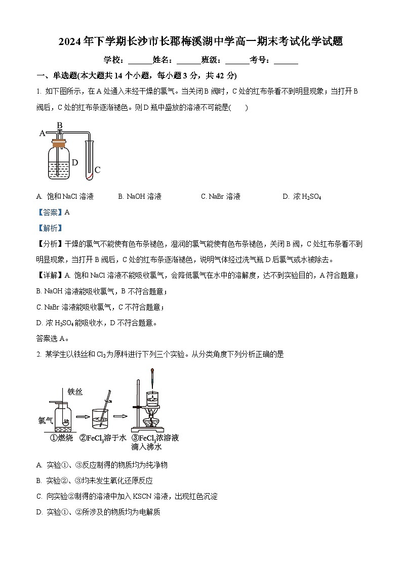 湖南省长沙市长沙县长郡梅溪湖中学2024-2025学年高一下学期期末化学试题（解析版）第1页