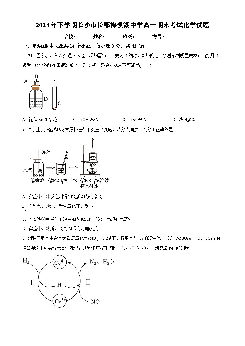 湖南省长沙市长沙县长郡梅溪湖中学2024-2025学年高一下学期期末化学试题（原卷版）第1页