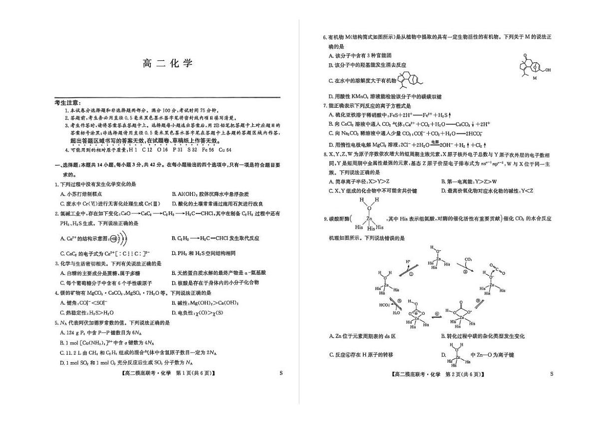 河南省商丘市九师联盟2024-2025学年高二下学期期末摸底联考化学试题第1页