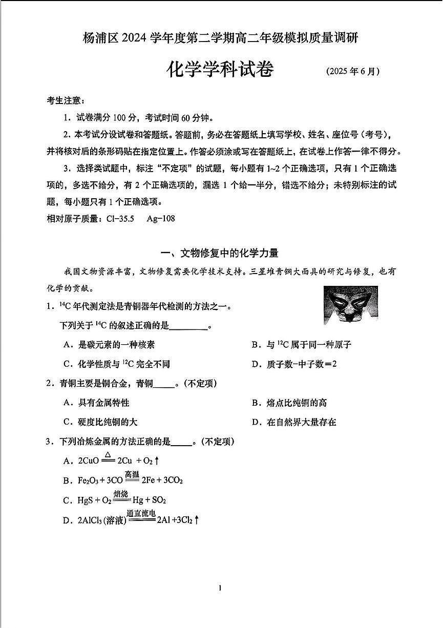 上海市杨浦区2024-2025学年高二下学期6月模拟质量调研 化学试卷第1页