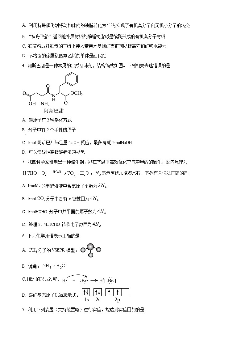 河北省廊坊市2024-2025学年高三上学期期末考试化学试题含答案第2页