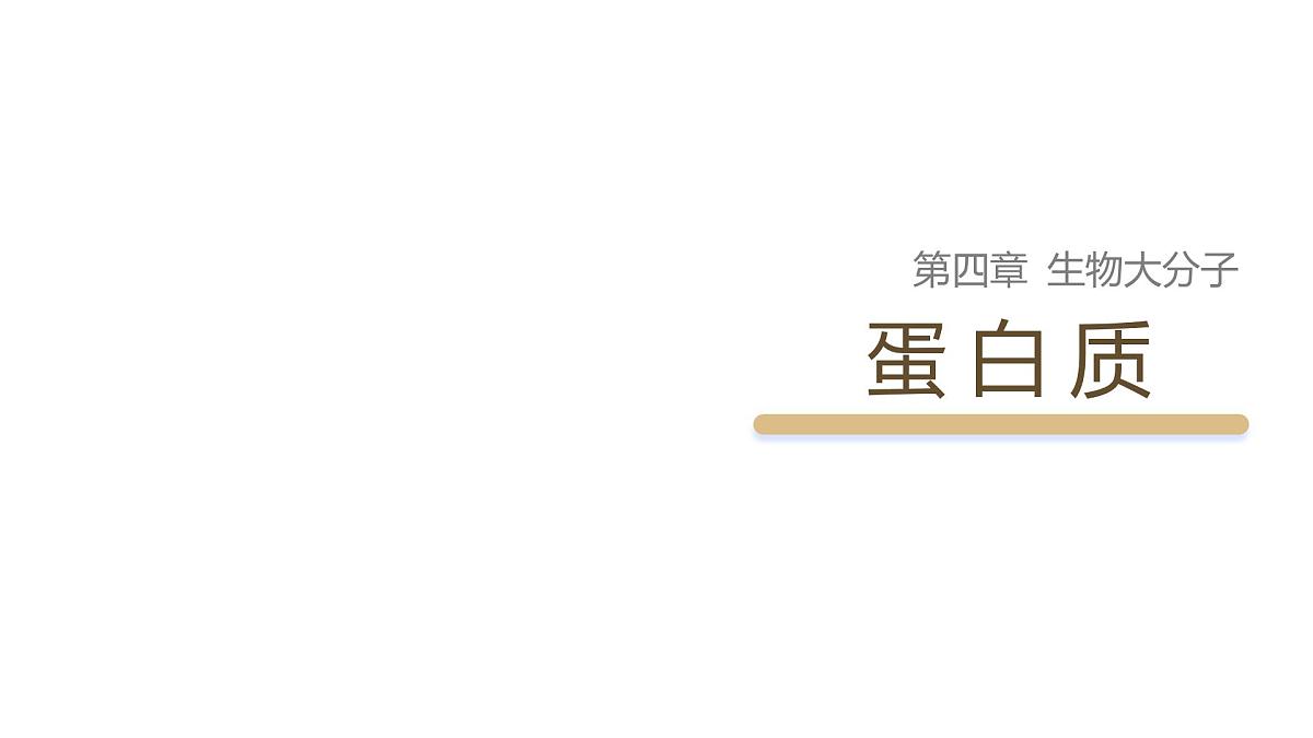 4.2+蛋白质+课件 2025学年高二下学期化学人教版选择性必修3第1页