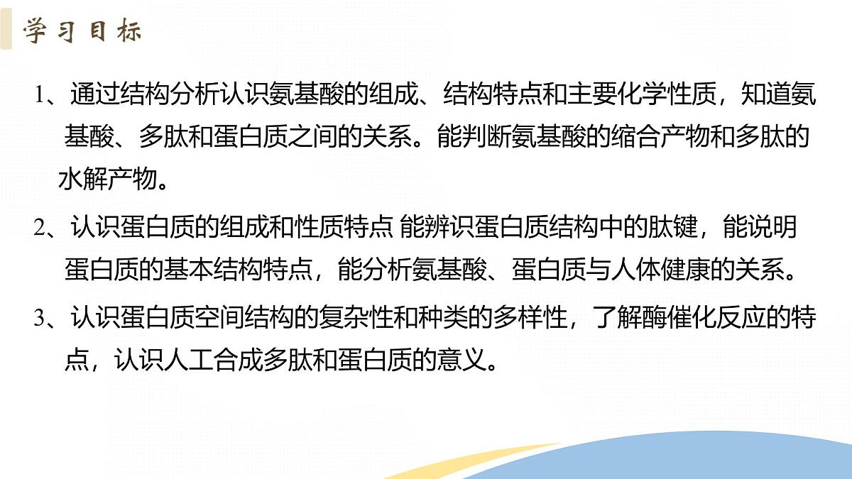 4.2+蛋白质+课件 2025学年高二下学期化学人教版选择性必修3第2页