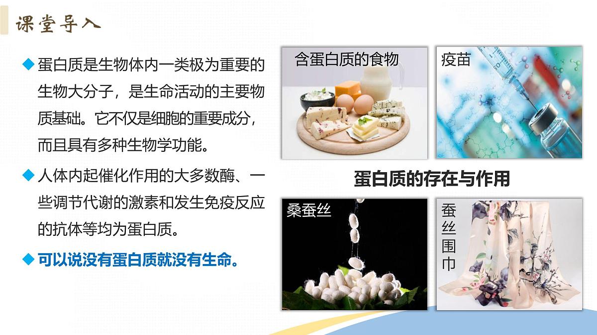 4.2+蛋白质+课件 2025学年高二下学期化学人教版选择性必修3第3页